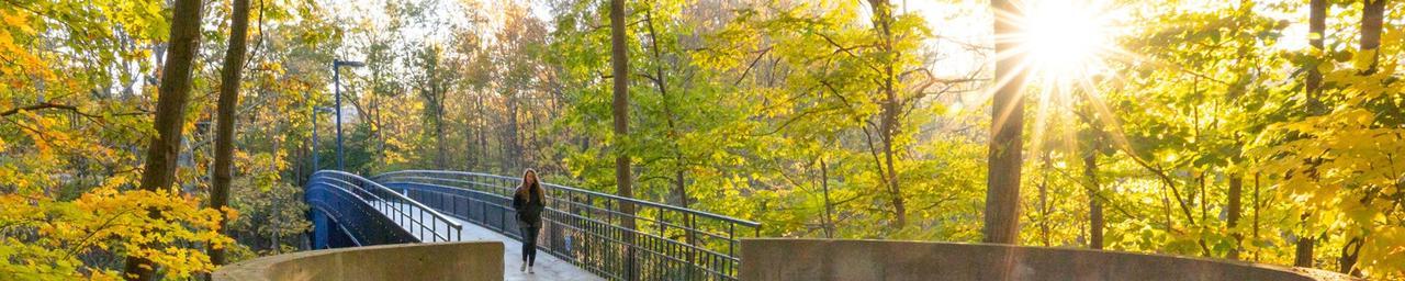 Little Mac Bridge in fall